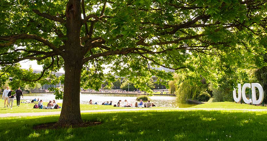 The main UCD lake on a sunny summer day. The UCD sign is in the foreground, underneath a large oak tree. Students walk by in the background.