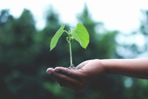 UCD launches Sustainability Toolkit for students