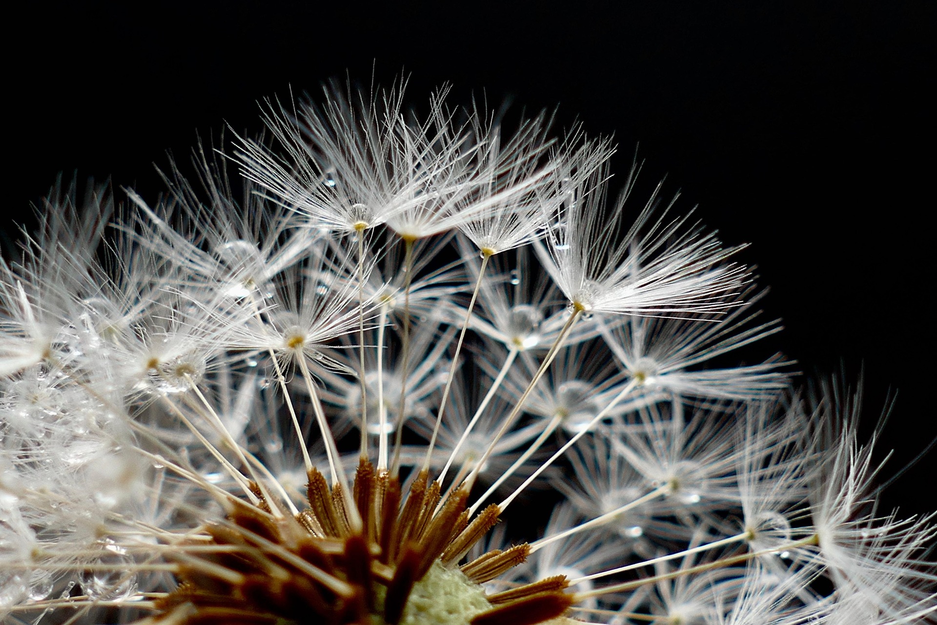 The Humanities Institute is pleased to offer HI seed funding (Small grants | HI-CAH) 2026-2027 | Application deadline: 15 May 2026 | Click the arrow below for further details and application form