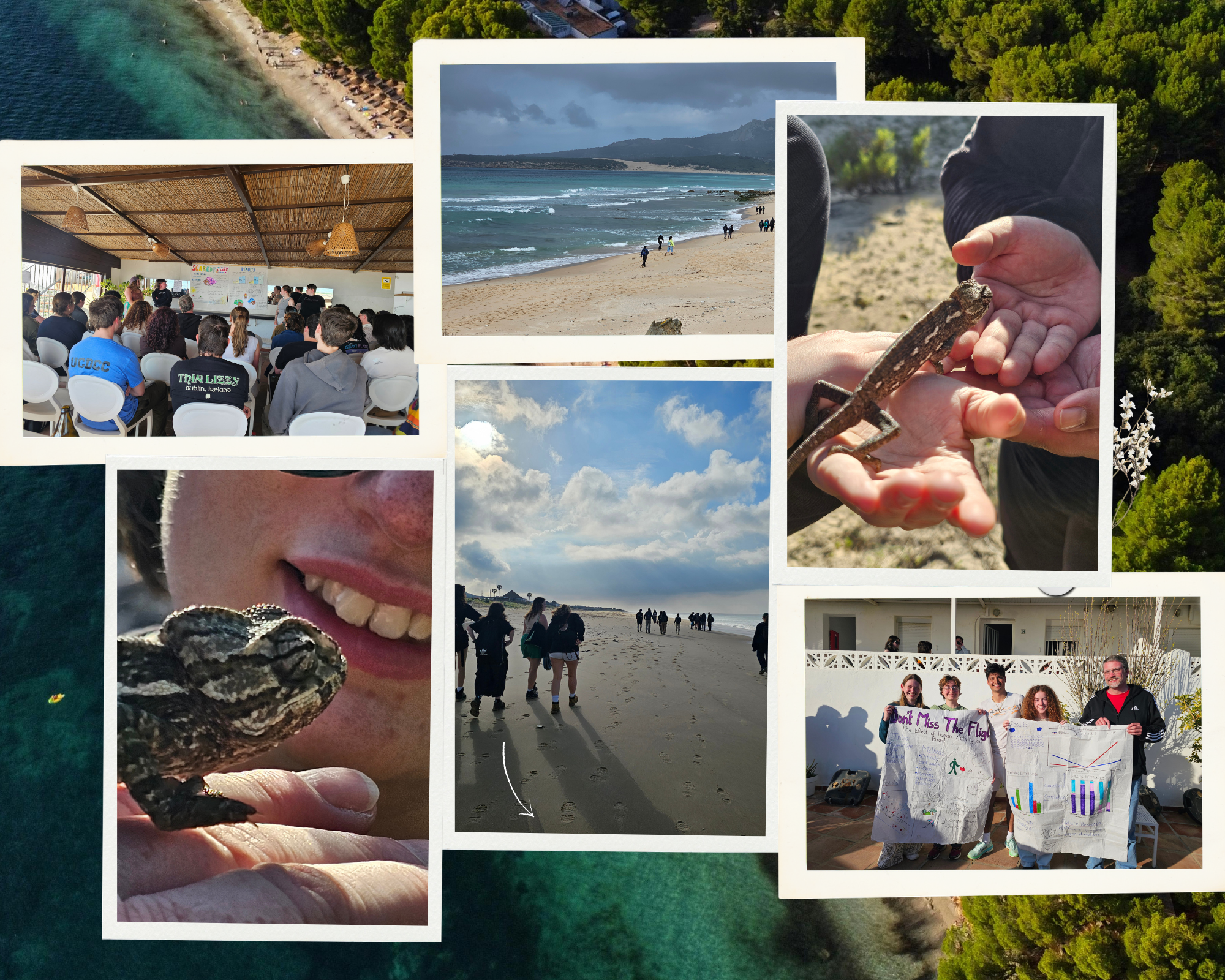 Annual Biogeography and Field Biology field trip - 3rd Year students